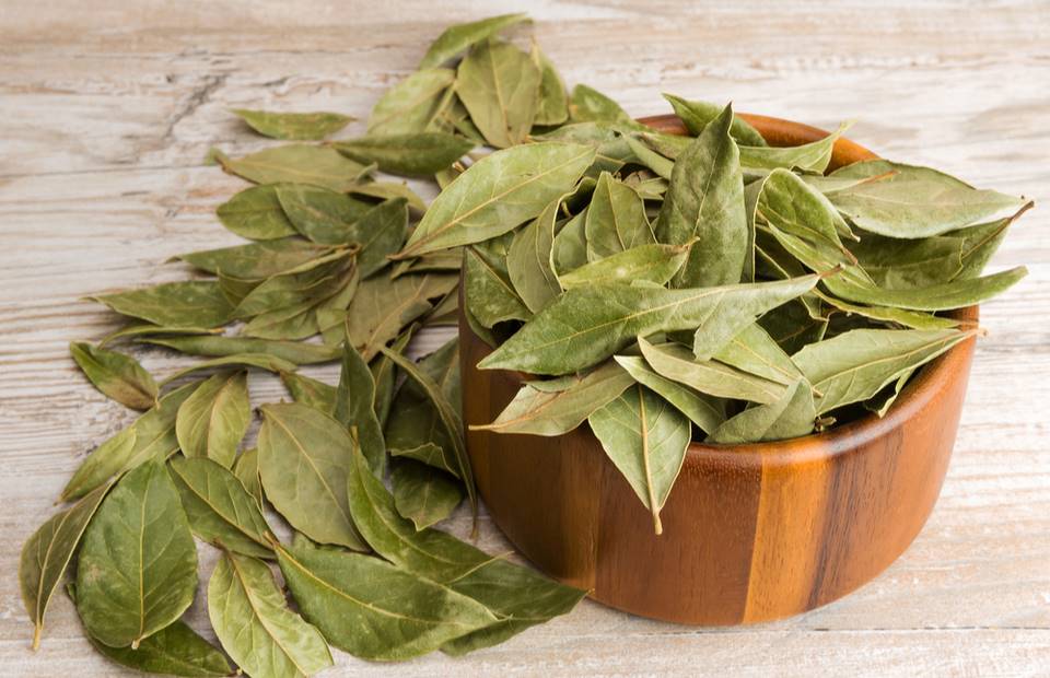 In 2024, it's a total no-no to put a bay leaf with the maids. There's a simple reason for that.